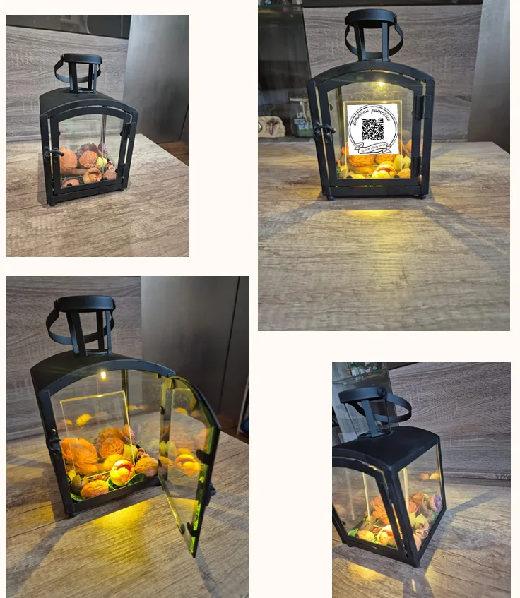 Emotivna pamtilica - Slika 5